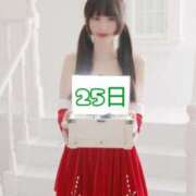 ヒメ日記 2025/12/06 19:00 投稿 なでしこ スイカ