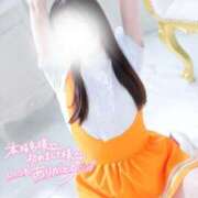 ヒメ日記 2025/12/15 02:41 投稿 なでしこ スイカ