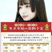 ヒメ日記 2025/12/17 12:00 投稿 なでしこ スイカ