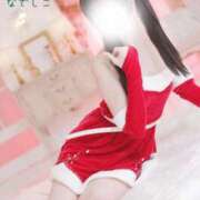 ヒメ日記 2025/12/19 16:45 投稿 なでしこ スイカ