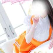 ヒメ日記 2025/12/22 02:30 投稿 なでしこ スイカ