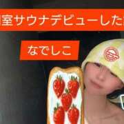 ヒメ日記 2026/02/08 12:00 投稿 なでしこ スイカ