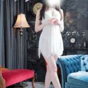 ヒメ日記 2026/02/11 08:02 投稿 なでしこ スイカ