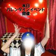 ヒメ日記 2026/02/12 12:02 投稿 なでしこ スイカ