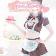 ヒメ日記 2026/02/13 15:45 投稿 なでしこ スイカ