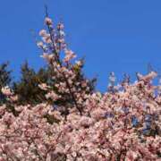 ヒメ日記 2026/02/14 19:37 投稿 なでしこ スイカ