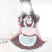 ヒメ日記 2026/02/17 15:45 投稿 なでしこ スイカ