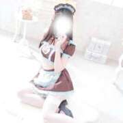 ヒメ日記 2026/02/20 15:45 投稿 なでしこ スイカ