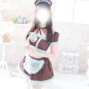 ヒメ日記 2026/02/22 15:45 投稿 なでしこ スイカ