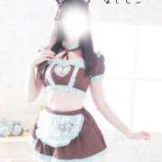 ヒメ日記 2026/02/24 15:45 投稿 なでしこ スイカ