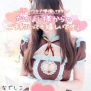 ヒメ日記 2026/02/27 15:45 投稿 なでしこ スイカ