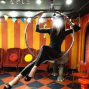 ヒメ日記 2026/03/05 12:00 投稿 なでしこ スイカ