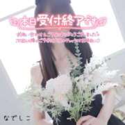 ヒメ日記 2026/03/08 19:08 投稿 なでしこ スイカ