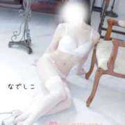 ヒメ日記 2026/03/29 15:45 投稿 なでしこ スイカ