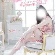 ヒメ日記 2026/04/03 08:00 投稿 なでしこ スイカ