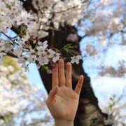 ヒメ日記 2026/04/04 12:03 投稿 なでしこ スイカ