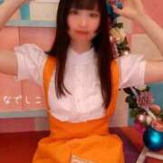 ヒメ日記 2026/04/05 08:01 投稿 なでしこ スイカ