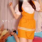 ヒメ日記 2026/04/11 08:00 投稿 なでしこ スイカ