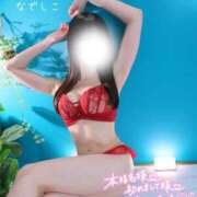 ヒメ日記 2026/04/15 08:00 投稿 なでしこ スイカ