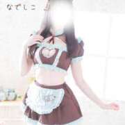 ヒメ日記 2026/04/24 15:45 投稿 なでしこ スイカ