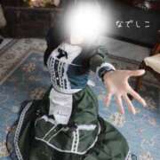 ヒメ日記 2026/06/05 15:00 投稿 なでしこ スイカ