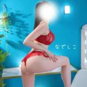 ヒメ日記 2026/06/11 18:25 投稿 なでしこ スイカ