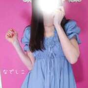 ヒメ日記 2026/06/13 17:02 投稿 なでしこ スイカ