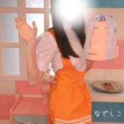 ヒメ日記 2026/06/15 12:03 投稿 なでしこ スイカ