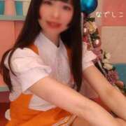 ヒメ日記 2026/07/29 08:00 投稿 なでしこ スイカ