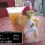 ヒメ日記 2026/08/22 08:02 投稿 なでしこ スイカ