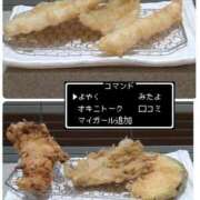 ヒメ日記 2026/09/06 08:01 投稿 なでしこ スイカ