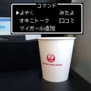 ヒメ日記 2026/09/18 08:00 投稿 なでしこ スイカ
