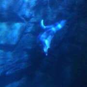 ヒメ日記 2025/11/16 17:59 投稿 まりん Mrs.Rufeーミセスルーフー