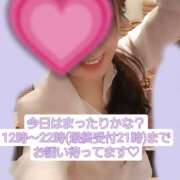 ヒメ日記 2024/12/18 07:10 投稿 篠原 ANECOTE