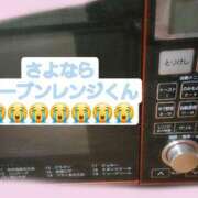 ヒメ日記 2024/12/22 12:35 投稿 篠原 ANECOTE