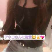 ヒメ日記 2025/01/10 12:03 投稿 篠原 ANECOTE