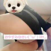 ヒメ日記 2025/01/10 23:51 投稿 篠原 ANECOTE