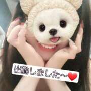 ヒメ日記 2025/02/06 15:48 投稿 篠原 ANECOTE