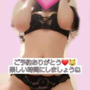 ヒメ日記 2025/02/24 10:38 投稿 篠原 ANECOTE