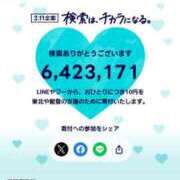 ヒメ日記 2025/03/11 15:31 投稿 篠原 ANECOTE