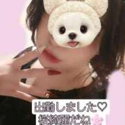 ヒメ日記 2025/03/31 15:43 投稿 篠原 ANECOTE