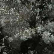 ヒメ日記 2025/04/05 22:09 投稿 篠原 ANECOTE