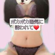 ヒメ日記 2025/04/07 14:06 投稿 篠原 ANECOTE