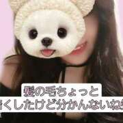 ヒメ日記 2025/04/10 15:37 投稿 篠原 ANECOTE