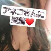 ヒメ日記 2025/04/28 15:38 投稿 篠原 ANECOTE