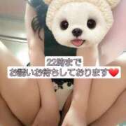 ヒメ日記 2025/04/29 06:26 投稿 篠原 ANECOTE