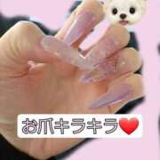 ヒメ日記 2025/05/08 14:45 投稿 篠原 ANECOTE