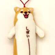 ヒメ日記 2025/05/19 15:34 投稿 篠原 ANECOTE