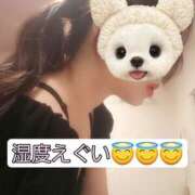 ヒメ日記 2025/07/15 10:30 投稿 篠原 ANECOTE