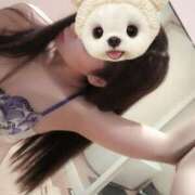 ヒメ日記 2025/10/16 17:03 投稿 篠原 ANECOTE